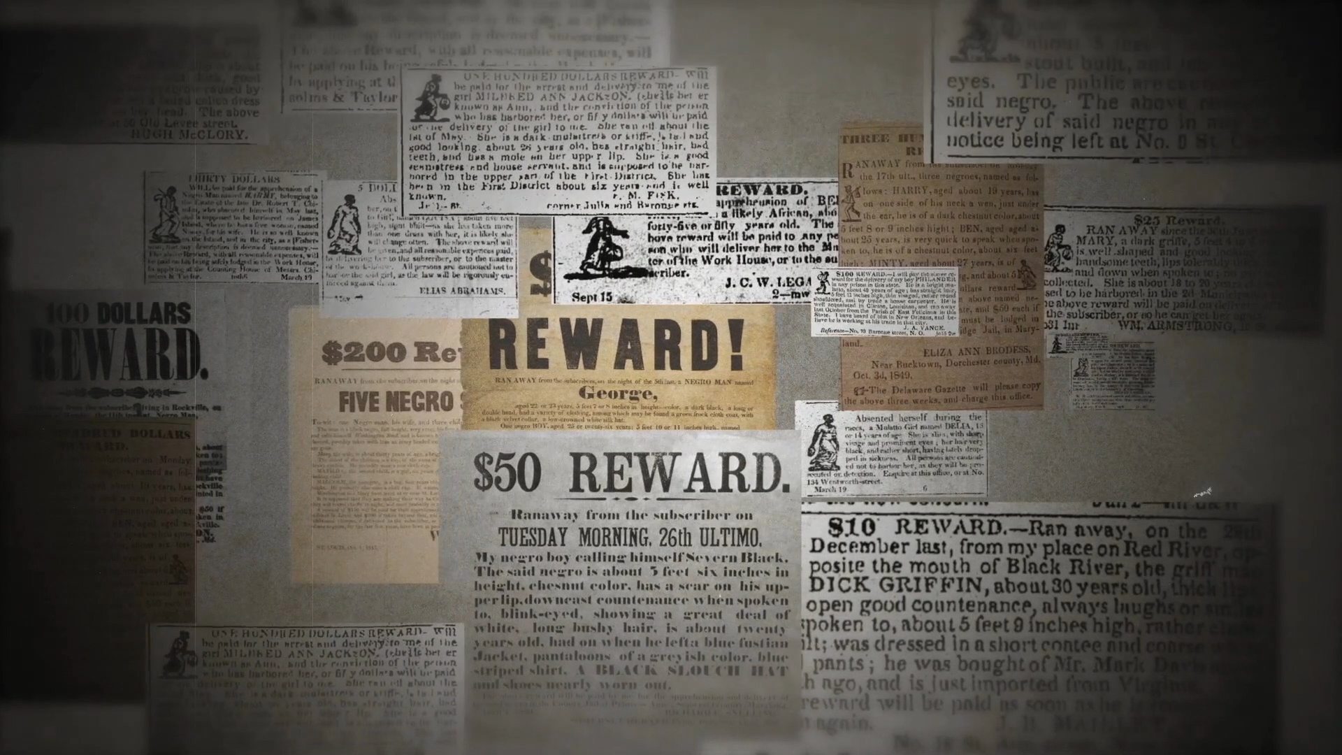 THE FUGITIVE SLAVE LAW