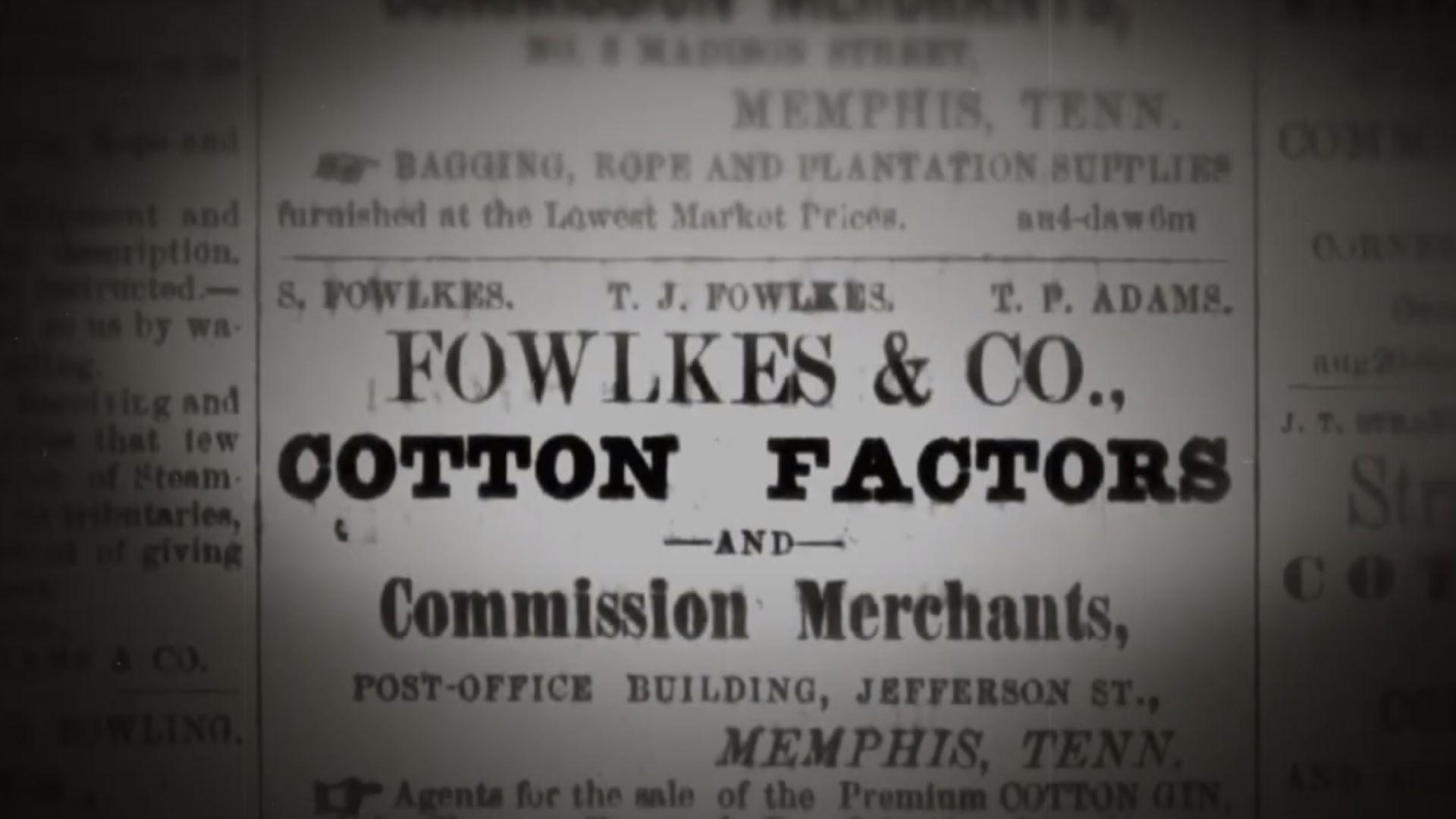 COTTON IS KING